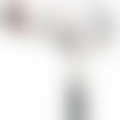 Revlon Infrared Hair Dryer